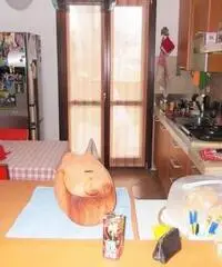 Vendita Villa in Via Alberto Alvisi