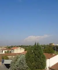 Appartamento in vendita a Empoli 85 mq  Rif: 392734