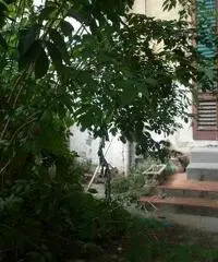 Appartamento in vendita a Empoli 24000 mq Rif: 320422