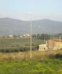 Colonica/casale in vendita a Cerreto Guidi 170 mq Rif: 435371