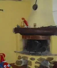 Terratetto in vendita a VILLANUOVA - Empoli 135 mq  Rif: 310014