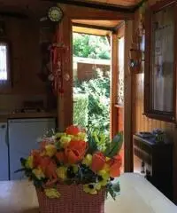 vendo roulotte con preingresso