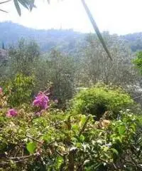 Appartamento in Vendita - parco casale