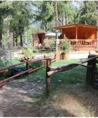 Roulotte con pre-ingresso e giardino - Ayas (AO)
