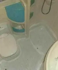 Roller team auto roller 3