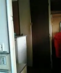 Roulotte Raphael 202 3 posti