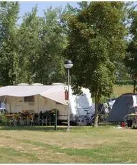 Piazzola Annaule 2017 Euro 2.350