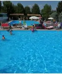 Piazzola Annaule 2017 Euro 2.350