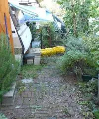 Roulotte detlheff mt4.75 piu preingresso