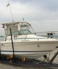 barca sea ray alalunga 21