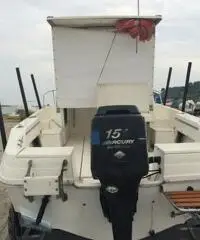 barca sea ray alalunga 21