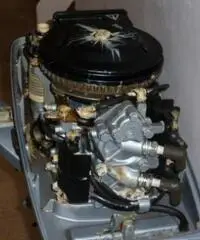 vendo motore marino evinrude 8 cv