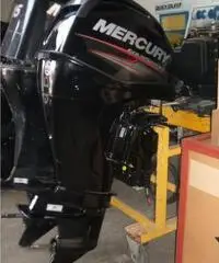 MERCURY F 40/60 2014