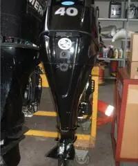 MERCURY F 40/60   2014