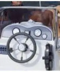 As Marine 530 Open Nuova