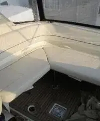 BAYLINER 315 cruise rif. 7109652