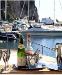 Noleggio Royal Yacht Tai 55 in COSTA AZZURRA! (FR)