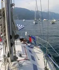 Cabinato a vela m.9,90