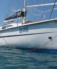 Barca a vela 8 metri altura 801