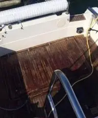 Barca bayliner affare