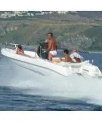 RANIERI SOVERATO 115  CV EVINRUDE