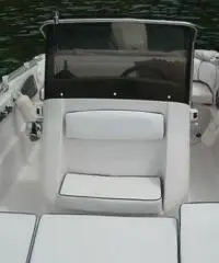 RANIERI SOVERATO 115  CV EVINRUDE