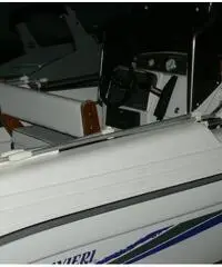 RANIERI SOVERATO 115  CV EVINRUDE