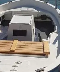 Gozzo vte entrobordo diesel mt4,7