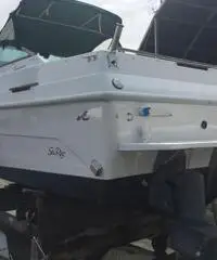 Sea Ray 25 Sundacer prezzo ribassato