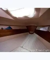 Barca a vela comet 910 plus