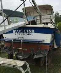 Narvalo 25 Cigala & Bertinetti 7 posti 7,50 mt