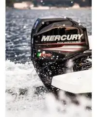 MOTORE MERCURY F 40 EFI PRO 4 TEMPI