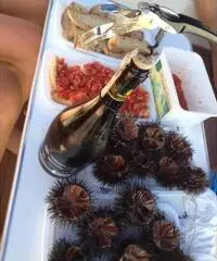 barca a vela MORGAN YACHTS Morgante 45 anno 2006 lunghezza mt 14