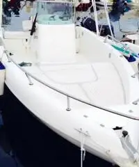 Barca Open 6 metri + Mercury Efi 40/60 4T + Carrello omologato