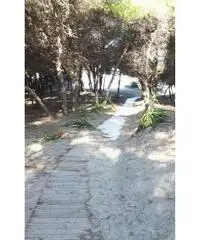 Concessione demaniale x noleggio pedalò