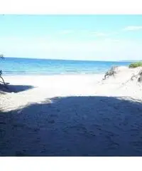 Concessione demaniale x noleggio pedalò