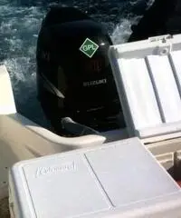 Motori marini fuoribordo a gas