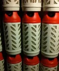 Motori marini fuoribordo a gas