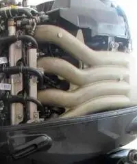 Motori marini fuoribordo a gas