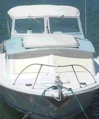 barca a motore BERTRAM 25 cabin express anno 1965 lunghezza mt 8