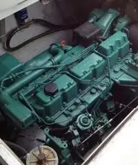 Fantastico Gobbi 31 Cabin