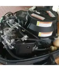 Tender Z-RAY 3,10mt + YAMAHA 4CV