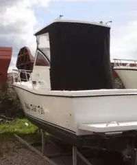 TUCCOLI  21 ( 2006 )