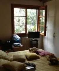 Casa indipendente Altro in Vendita