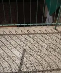 Affitto Appartamento a Pistoia