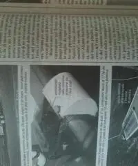 Catamarano a vela kupu kupu ernesto tross