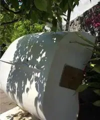 Barca con con motore