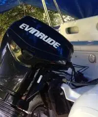 Gommone sacs 5 mt Evinrude e tec 40/60 il tutto 2008