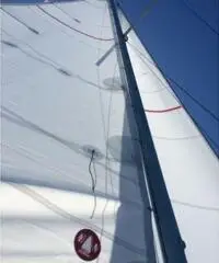 BARCA A VELA AMON 7,90