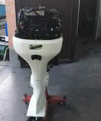 115 Evinrude Fich Ram